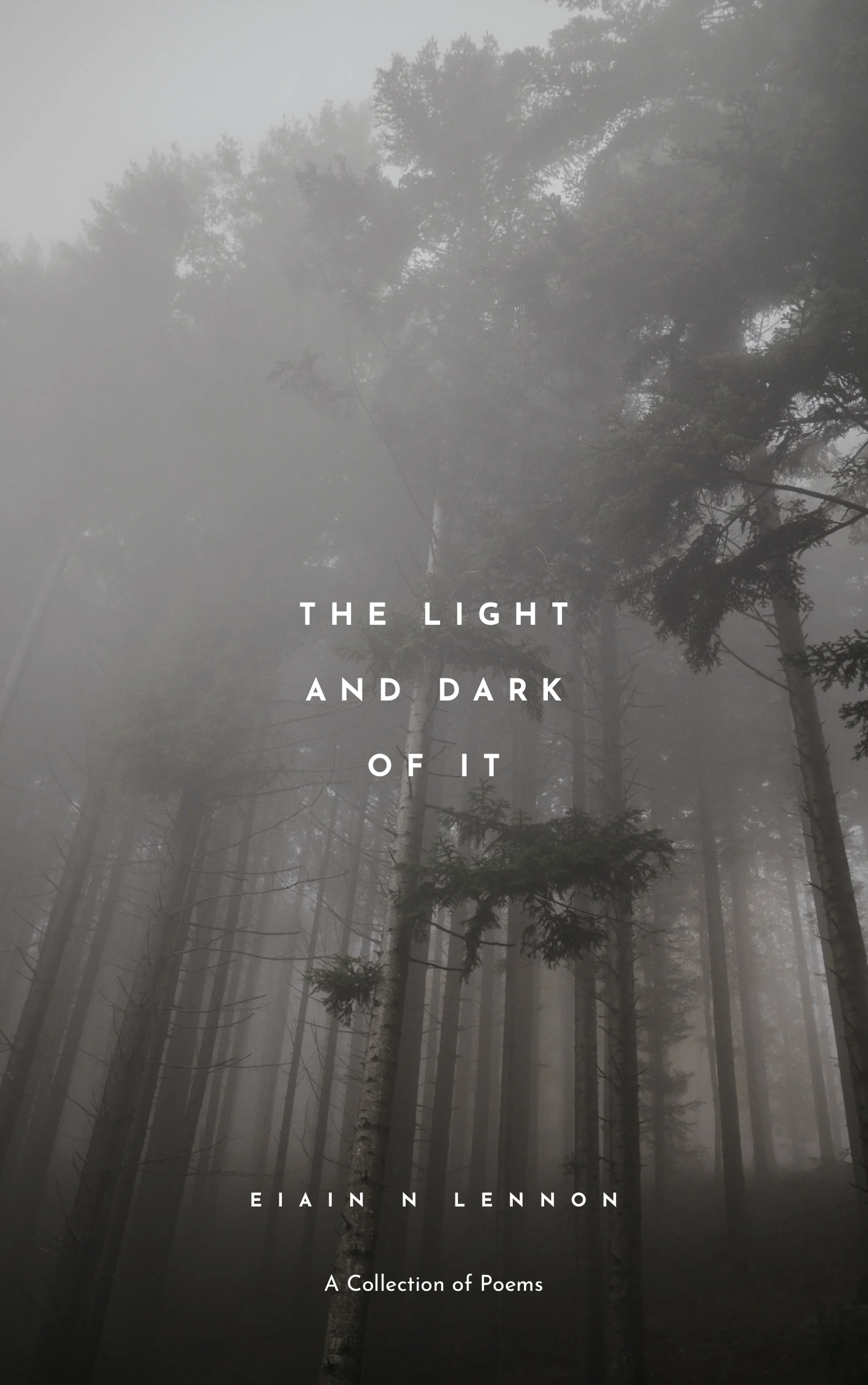 Book cover for The Light & Dark of It: A Collection of Poems by Eiain Lennon, showing a dark misty forest